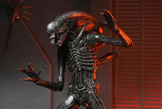 Alien: Romulus Ultimate Xenomorph XX121 ( Preorder Q4 2025)