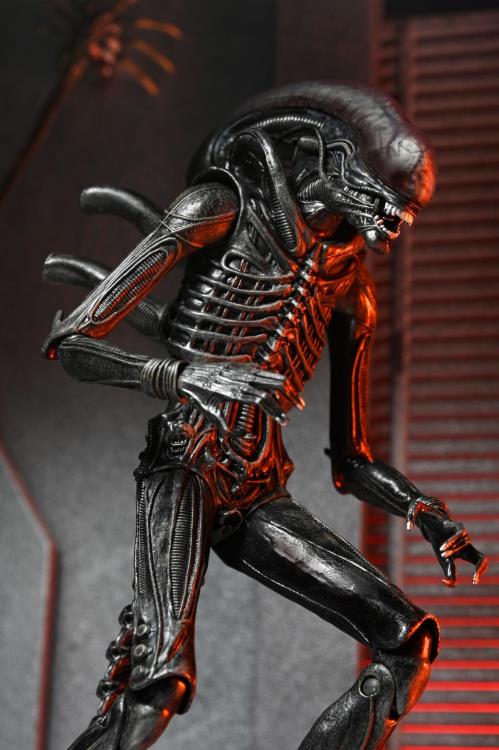 Alien: Romulus Ultimate Xenomorph XX121 ( Preorder Q4 2025)