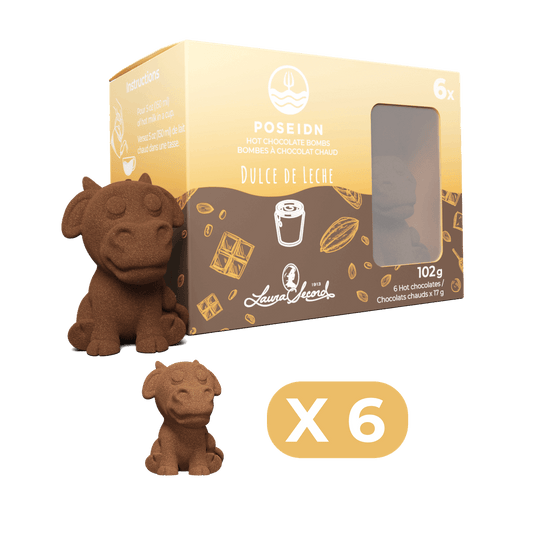 Hot Chocolate (Dulce de Leche) Flavoured Drink Bomb