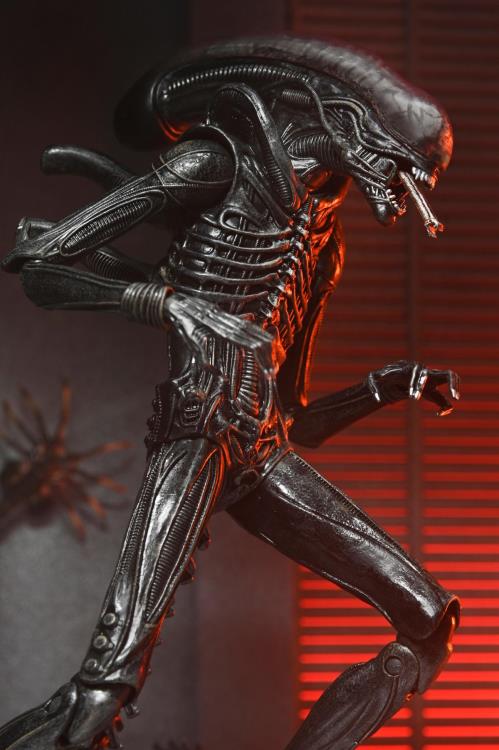 Alien: Romulus Ultimate Xenomorph XX121 ( Preorder Q4 2025)