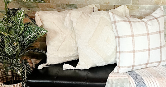 Accent Pillow Cases