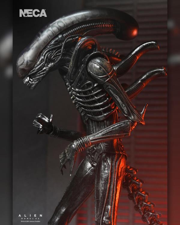 Alien: Romulus Ultimate Xenomorph XX121 ( Preorder Q4 2025)