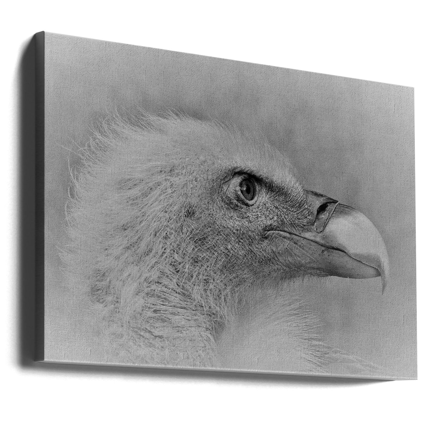 Wall art Bald eagle