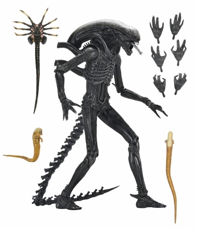 Alien: Romulus Ultimate Xenomorph XX121 ( Preorder Q4 2025)
