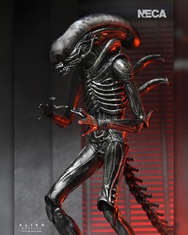 Alien: Romulus Ultimate Xenomorph XX121 ( Preorder Q4 2025)