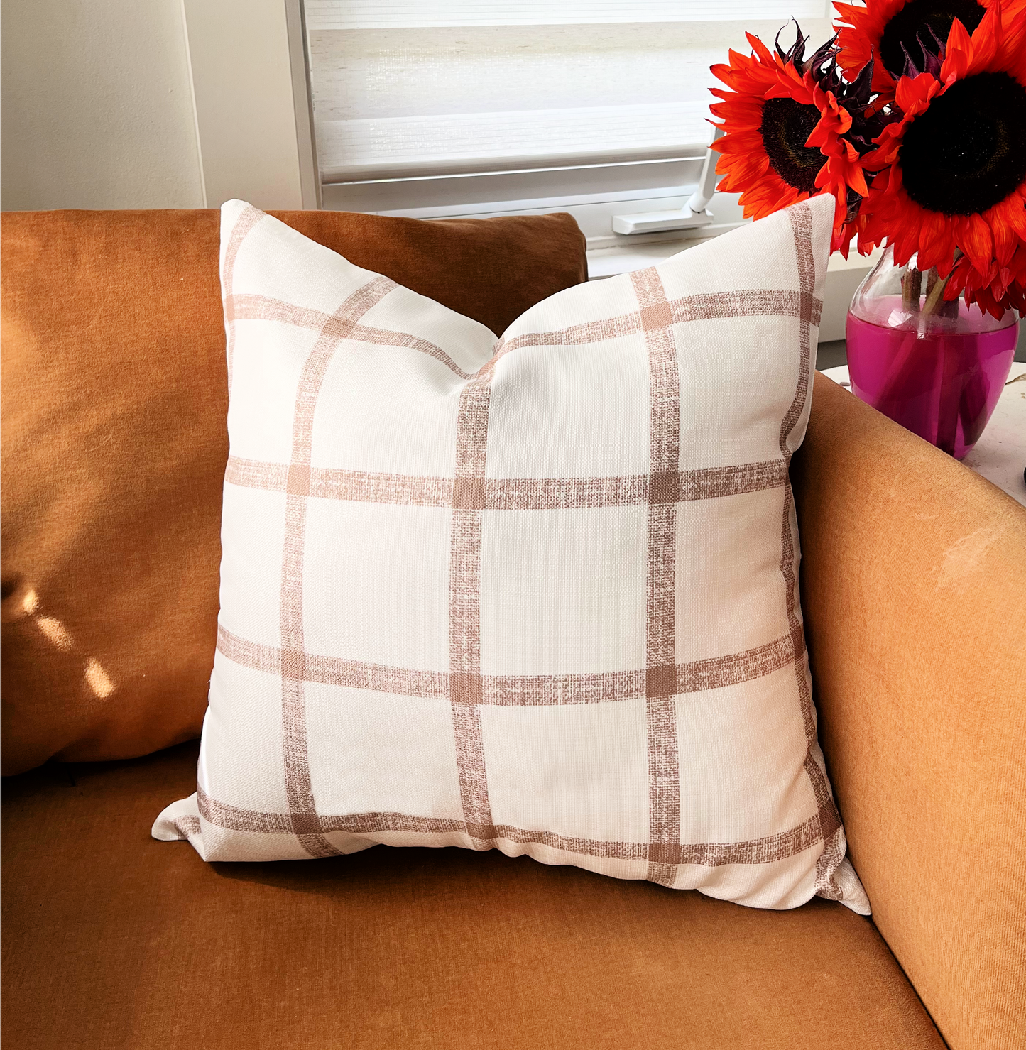 Accent Pillow Cases