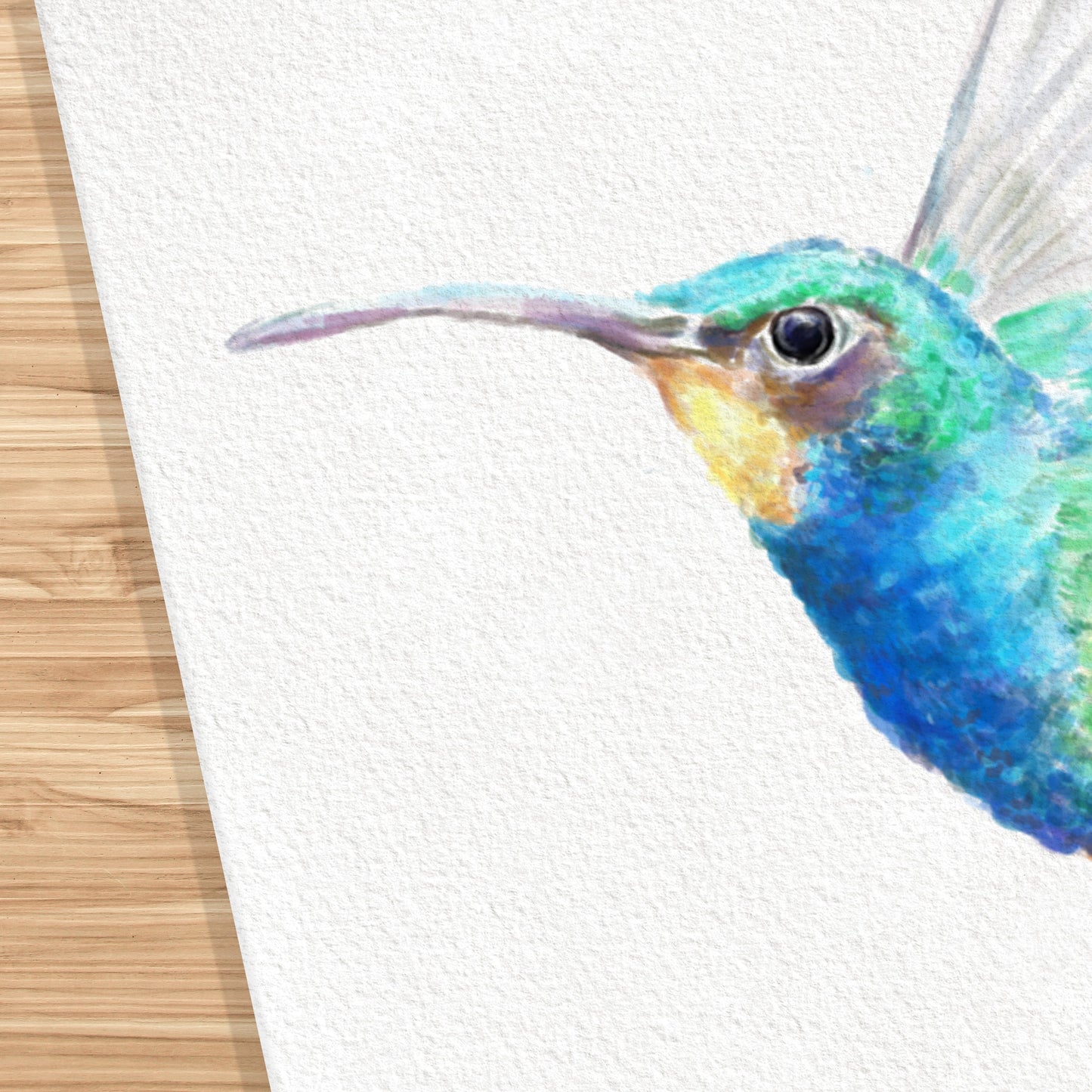Hummingbird Art Print