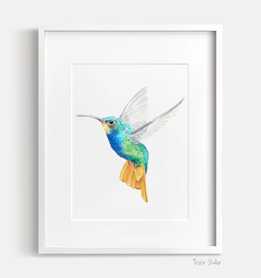 Hummingbird Art Print