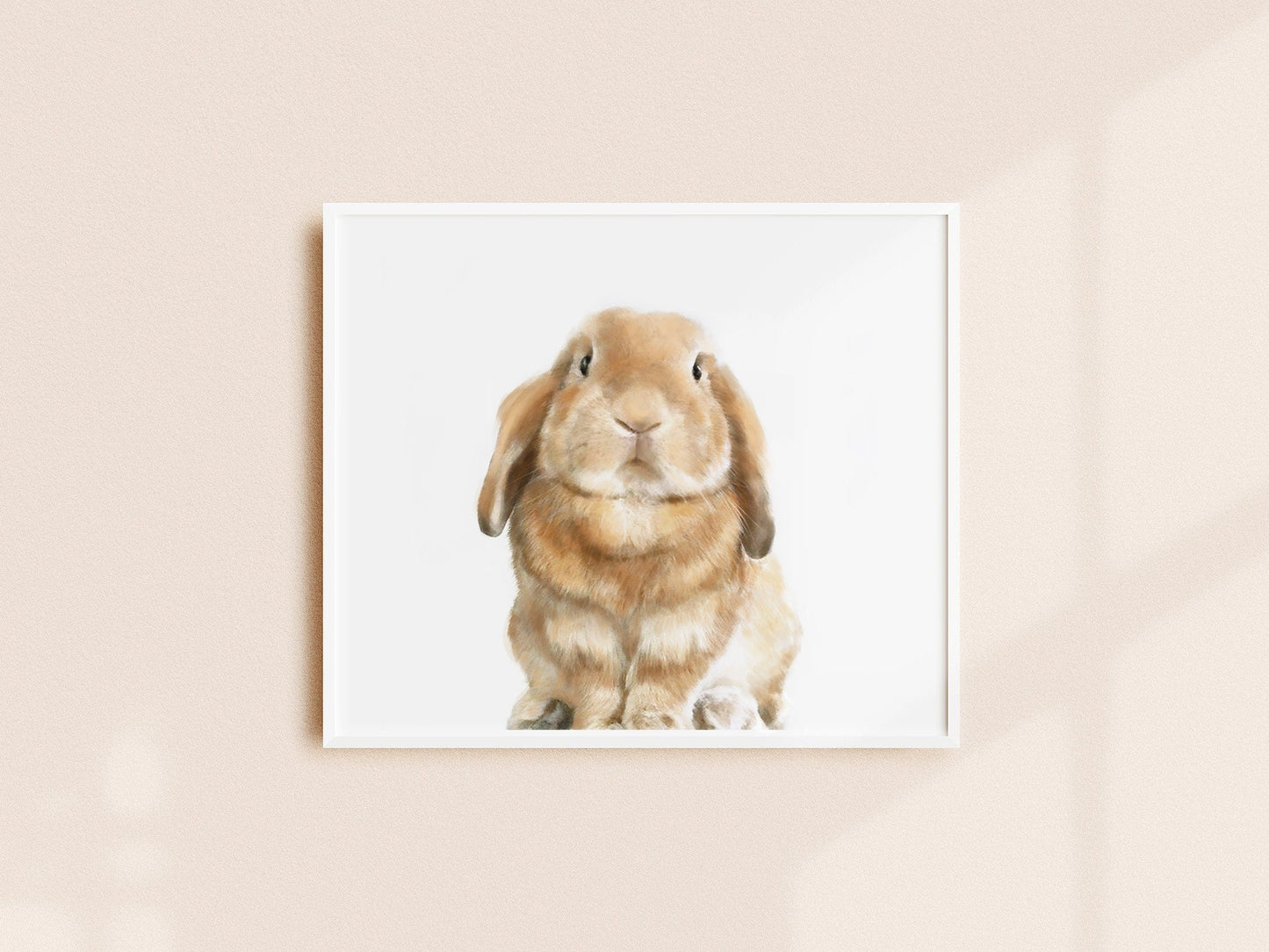 Lop Rabbit Art Print