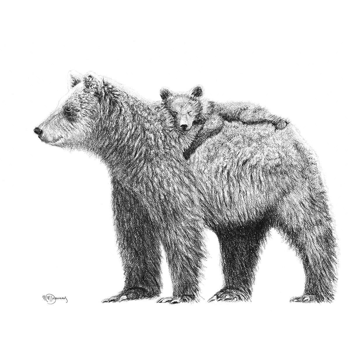Grizzly with cub - Print