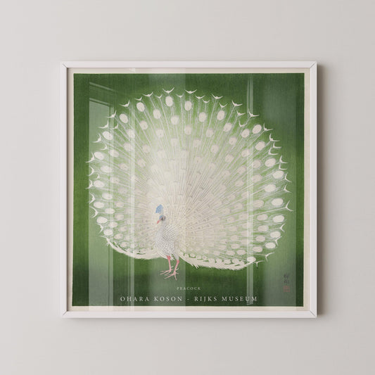 Ohara Koson - Peacock |  PREMIUM GICLÉE PRINT | Our Customer Favourite Vintage Japanese Print in Green (available handframed) 1x1