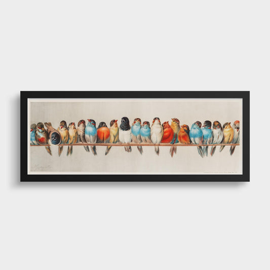 Vintage Birds on a Wire Illustration | Spectacular Lineup of Super Wide Vintage Birds | Colorful Artwork (available framed or unframed) 3x1